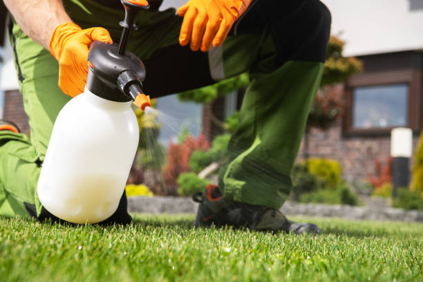 Best Emergency Pest Control  in Moosup, CT