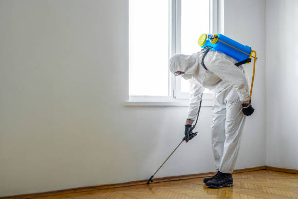 Best Rat Extermination Near Me  in Moosup, CT