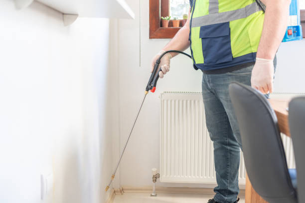 Best Local Pest Control Services  in Moosup, CT