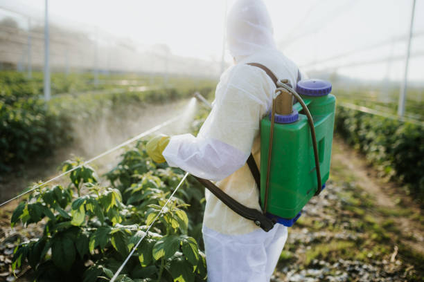 Best Best Pest Control Companies  in Moosup, CT